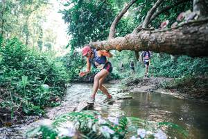 BIB: 
                            <button type="button" onclick="openModal(25434665)" class="btn btn-primary btn-sm float-right btn-popup" data-toggle="modal" data-target=".modal-high-quality">
                        <i class="fas fa-shopping-cart"></i> Add to Cart
                    </button>
                                            <button type="button" onclick="isThisMe(25434665, true)" class="btn btn-success btn-sm float-right btn-popup btn-isme hidden" data-toggle="tooltip" data-placement="bottom" title="นี่คือรูปของคุณใช่ไหม คลิกที่นี่เพื่อเอาเข้าอัลบั้ม">
                        <i class="fas fa-plus"></i> Add to album
                    </button>
                    <button type="button" onclick="isThisMe(25434665, false)" class="btn btn-warning btn-sm float-right btn-popup btn-isnotme hidden">
                        <i class="fas fa-ban"></i> Remove from album
                    </button>